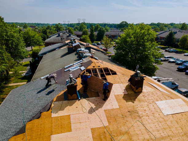 Trusted Roof Replacement service in Milton, NC - Brentwood Metal Roofing
